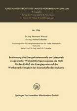 Bestimmung des Energiekostenanteils am Listenpreis ausgewählter Walzstahlfertigerzeugnisse als Maß für den Einfluß der Energiepreise auf die Wettbewerbsfähigkeit der Eisenschaffenden Industrie