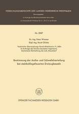 Bestimmung der Asche- und Schwefelverteilung bei steinkohlegefeuerten Dreizugkesseln