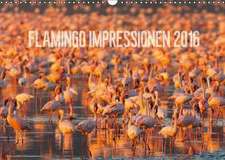 Flamingo Impressionen 2016 (Wandkalender 2016 DIN A3 quer)