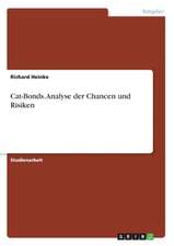 Analyse der Chancen und Risiken von Cat-Bonds