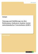 Nutzung und Einführung von Key Performance Indicators. Analyse zweier mittelständischer Unternehmen (KMU)