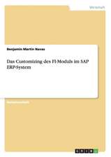 Das Customizing des FI-Moduls im SAP ERP-System