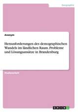 Herausforderungen des demographischen Wandels im ländlichen Raum. Probleme und Lösungsansätze in Brandenburg