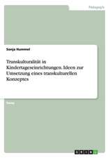 Transkulturalität in Kindertageseinrichtungen. Ideen zur Umsetzung eines transkulturellen Konzeptes