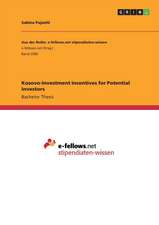 Kosovo-Investment Incentives for Potential Investors