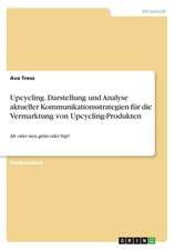 Upcycling. Darstellung und Analyse aktueller Kommunikationsstrategien für die Vermarktung von Upcycling-Produkten