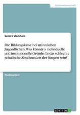 Die Bildungskrise Bei Mannlichen Jugendlichen. Was Konnten Individuelle Und Institutionelle Grunde Fur Das Schlechte Schulische Abschneiden Der Jungen