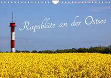 Rapsblüte an der Ostsee (Wandkalender 2023 DIN A4 quer)