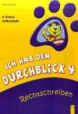 Ich hab den Durchblick 4 - Rechtschreiben