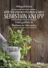 Kräuter und Heilpflanzen nach Sebastian Kneipp