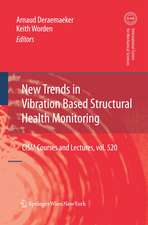 New Trends in Vibration Based Structural Health Monitoring