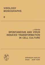 Spontaneous and Virus Induced Transformation in Cell Culture