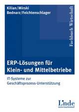 ERP-Lösungen für Klein- und Mittelbetriebe