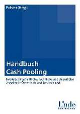 Handbuch Cash Pooling