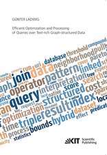 Efficient Optimization and Processing of Queries over Text-rich Graph-structured Data