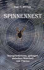 Spinnennest