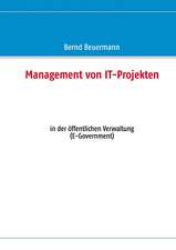 Management von IT-Projekten