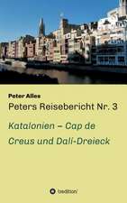 Peters Reisebericht NR. 3: Wie Ich Meine Chronischen Krankheiten, Konflikte Und Krisen Heilte Und Meine Kuhnsten Traume Ubertraf