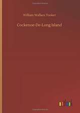 Cockenoe-De-Long Island