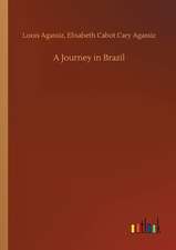 A Journey in Brazil