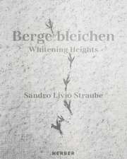 Sandro Livio Straube