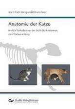 Anatomie der Katze und ihr Verhalten aus der Sicht des Anatomen, eine Textsammlung