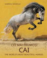 Cei mai frumosi cai