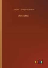 Bannertail