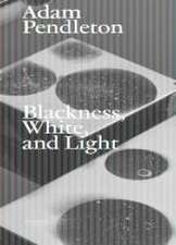 Adam Pendleton. Blackness, White and Light (Deutsch)