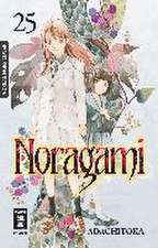 Noragami 25