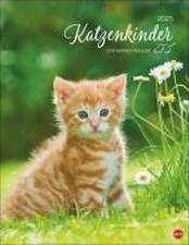 Katzenkinder Posterkalender 2025