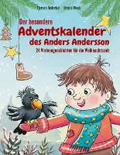 Der besondere Adventskalender des Anders Andersson