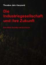 Die Industriegesellschaft und ihre Zukunft