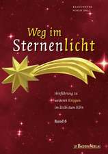 Weg im Sternenlicht 06