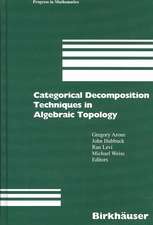 Categorical Decomposition Techniques in Algebraic Topology