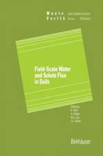 Field-Scale Water and Solute Flux in Soils