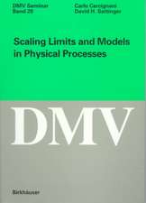 Scaling Limits and Models in Physical Processes