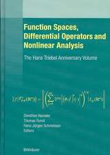 Function Spaces, Differential Operators and Nonlinear Analysis: The Hans Triebel Anniversary Volume