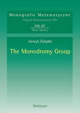 The Monodromy Group