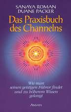 Das Praxisbuch des Channelns