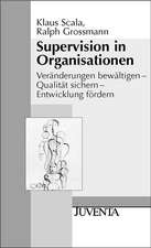 Supervision in Organisationen