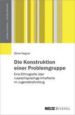 Die Konstruktion einer Problemgruppe