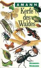 Kerfe des Waldes