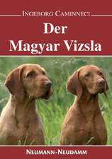 Der Magyar Vizsla