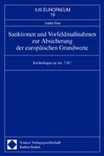 Sanktionen und Vorfeldmaßnahmen zur Absicherung der europäischen Grundwerte. Dissertation