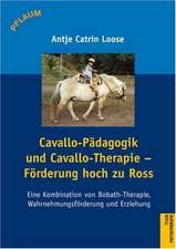 Cavallo-Pädagogik und Cavallo-Therapie - Förderung hoch zu Ross