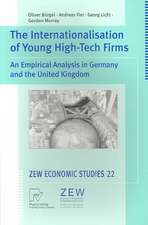 The Internationalisation of Young High-Tech Firms