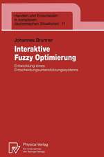 Interaktive Fuzzy Optimierung: Entwicklung eines Entscheidungsunterstützungssystems