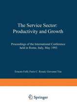 The Service Sector: Productivity and Growth: Proceedings of the International Conference held in Rome, Italy, May 27–28 1993