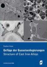 Gefüge der Gusseisenlegierungen / Structure of Cast Iron Alloys